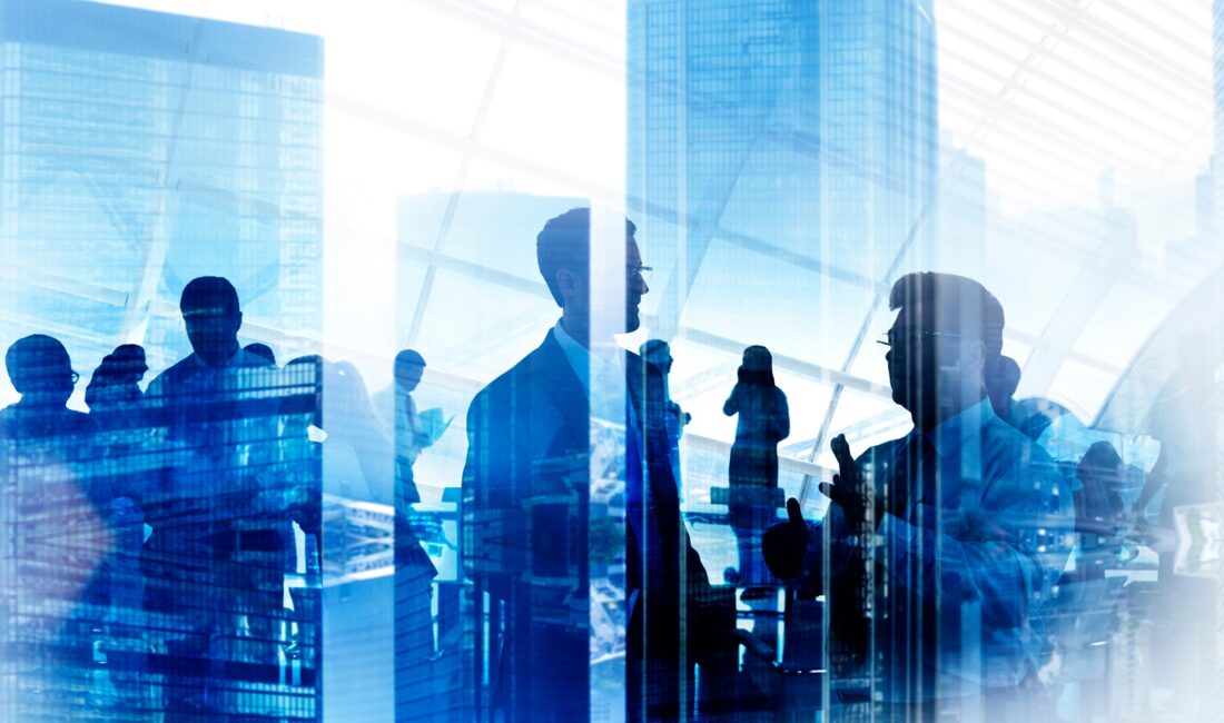 2025’in ilk 11 ayında, 2024’ün ilk 11 ayına göre kurulan